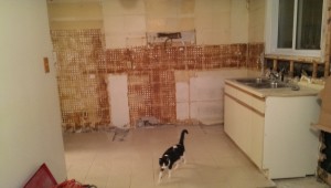 kitchen_gutted