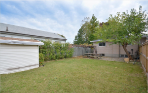 Backyard Shed