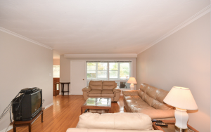 Living Room and Front Window